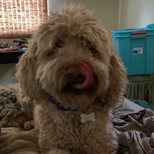 Meet your Posher, Cassandra